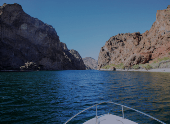 Canyon Lake Bighorn Sheep Viewing