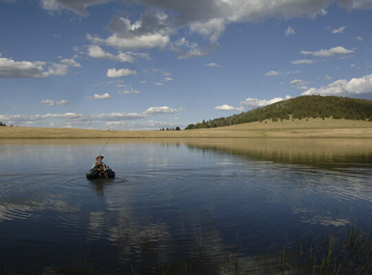 Special Licenses - Arizona Game & Fish Department