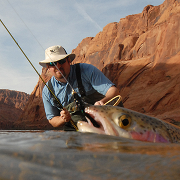 Licenses and Regulations - Arizona Game & Fish Department